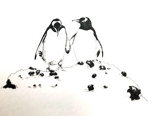 Disappointing accommodation