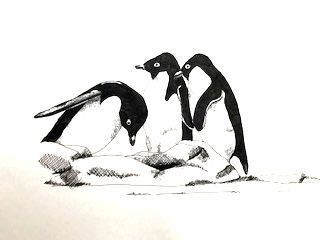 If we are going to make this soup work, we need many more carrots.