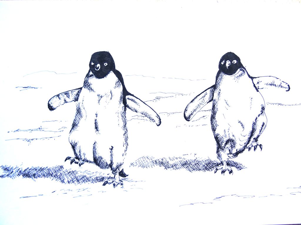 It was Wednesday. The twins set off for their appointment with the psychiatrist.