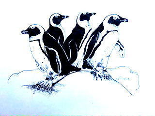 The W.I. penguin arragnement classs was not going well.